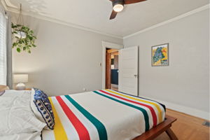  Photo 43