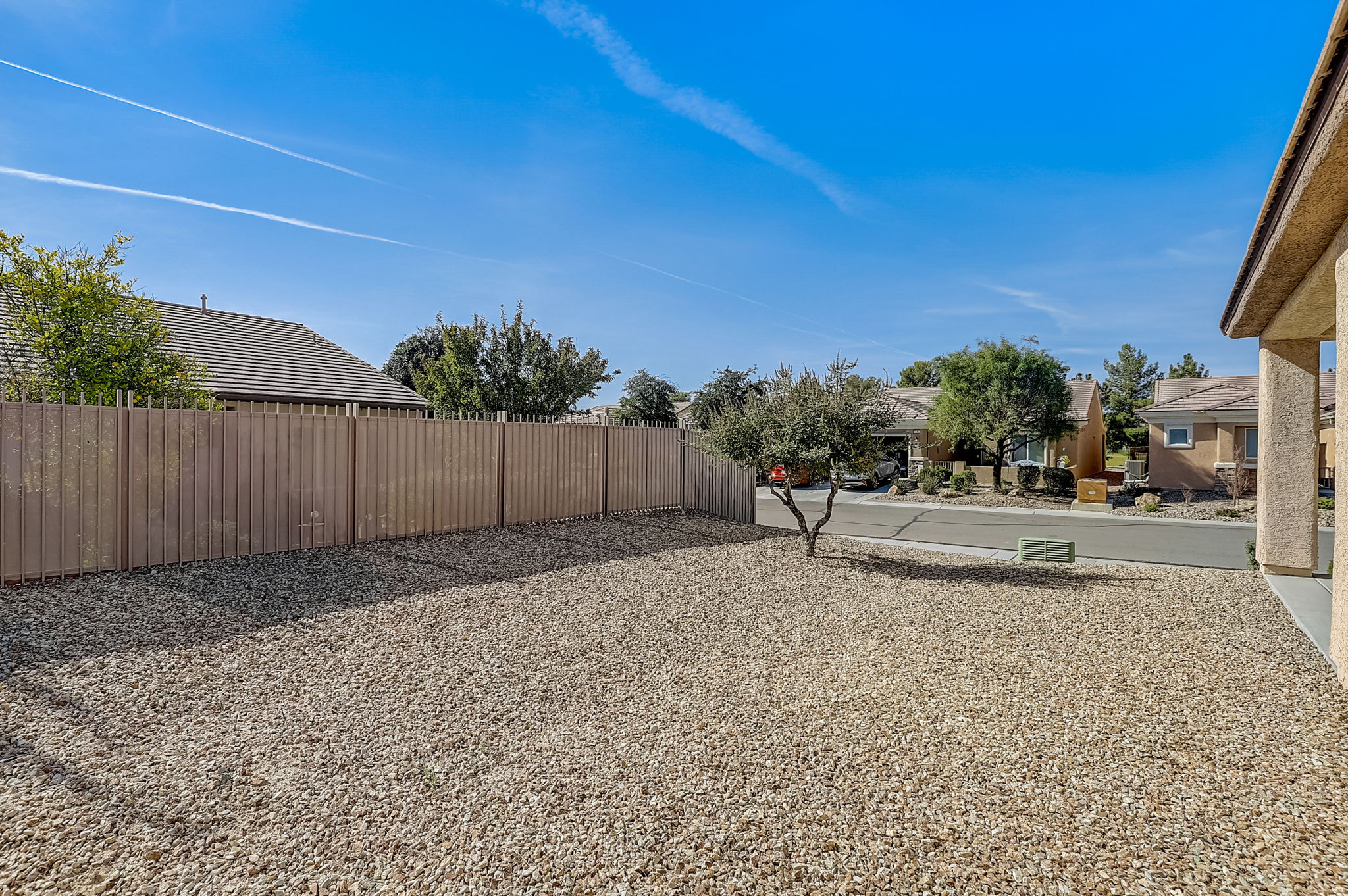 Desert Sparrow Ave-026