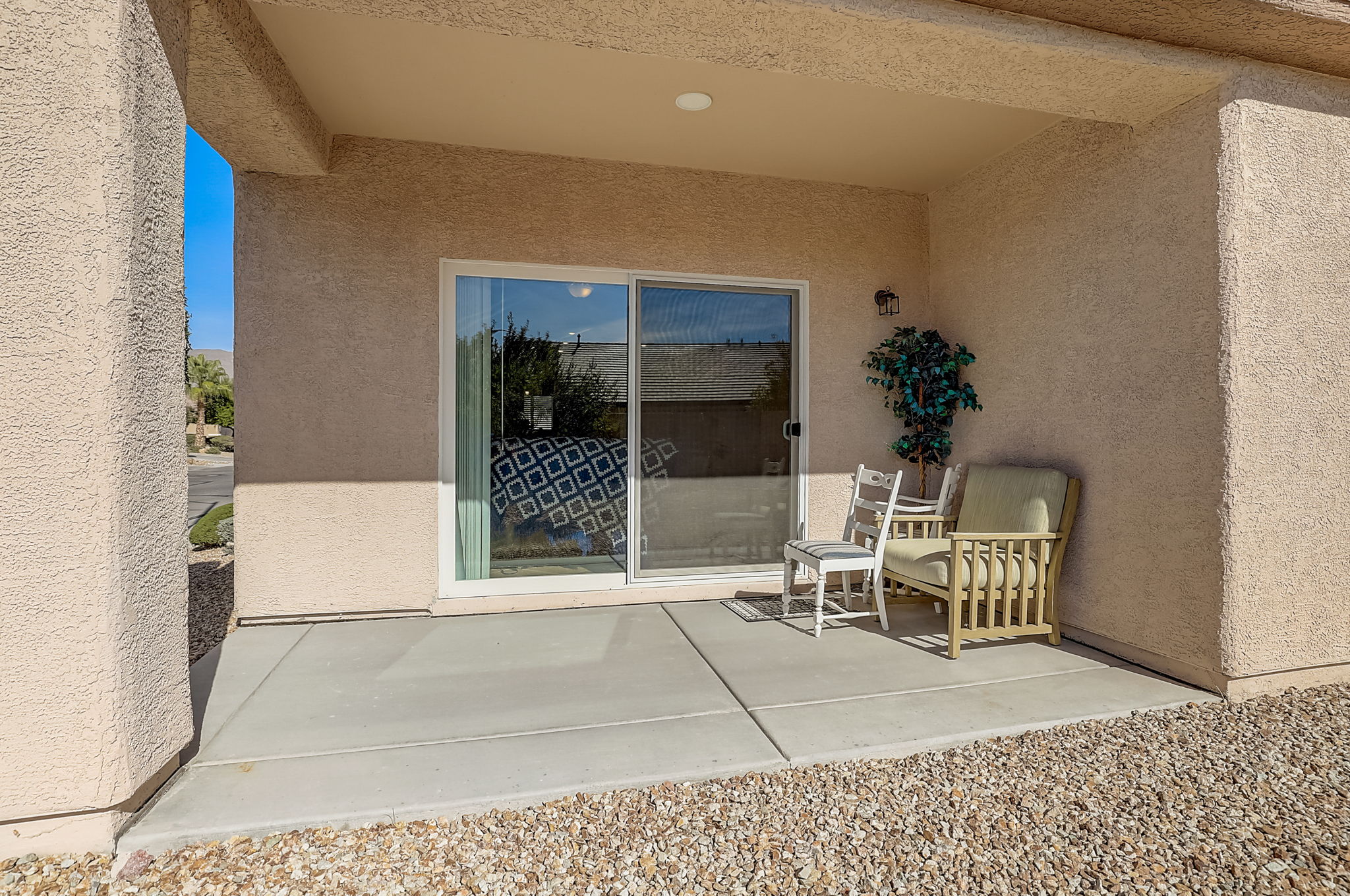 Desert Sparrow Ave-024