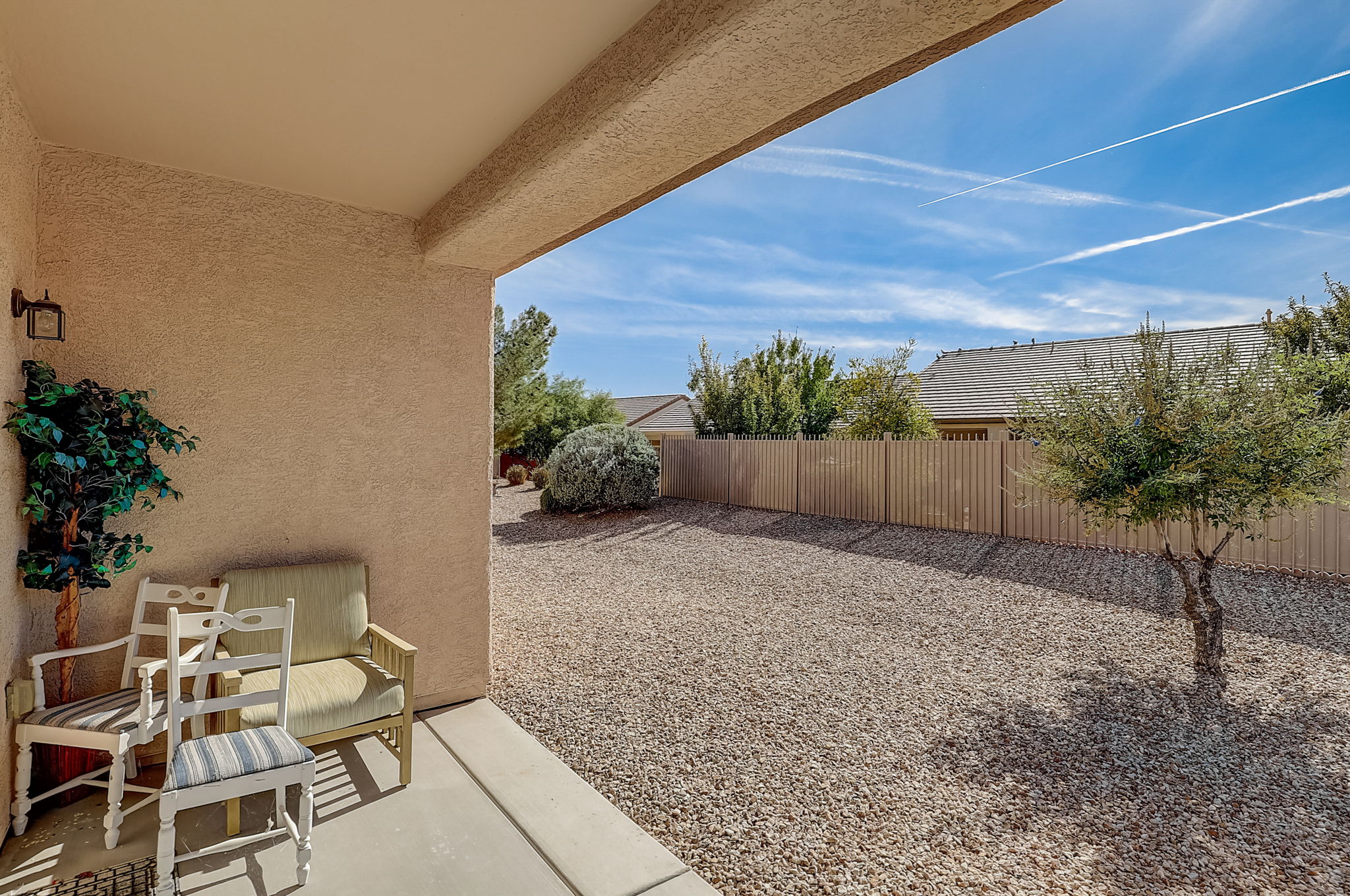 Desert Sparrow Ave-025