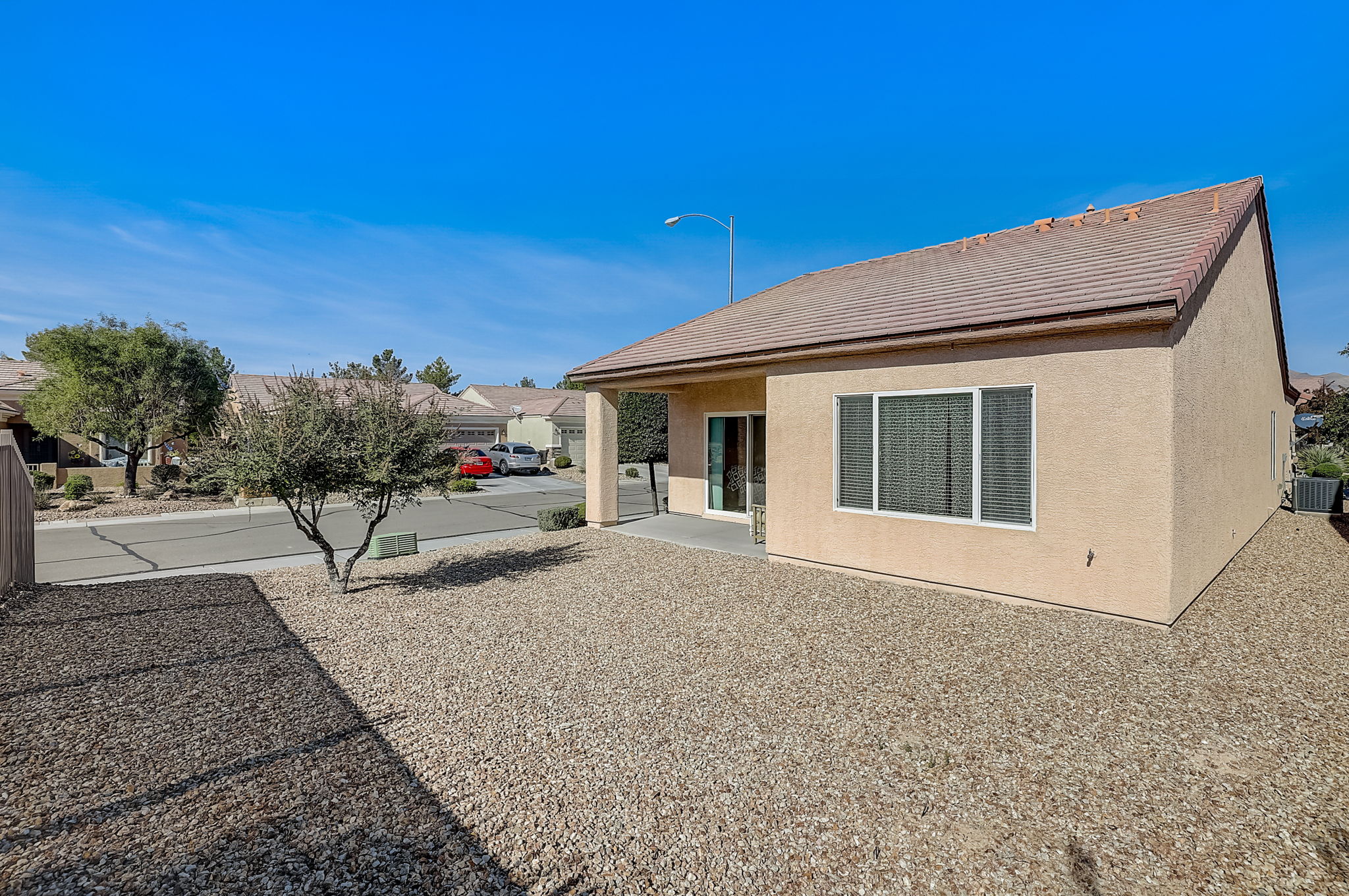 Desert Sparrow Ave-029