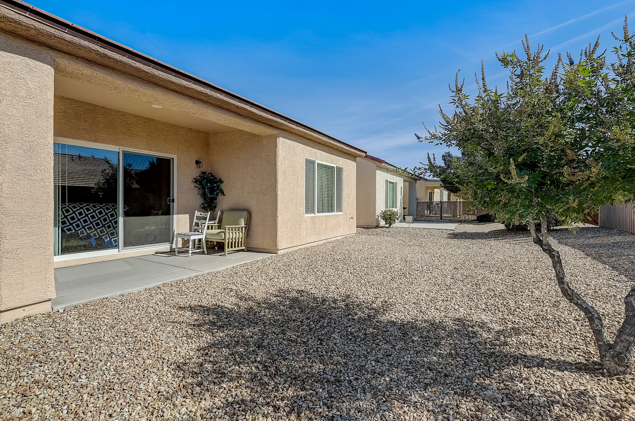 Desert Sparrow Ave-027