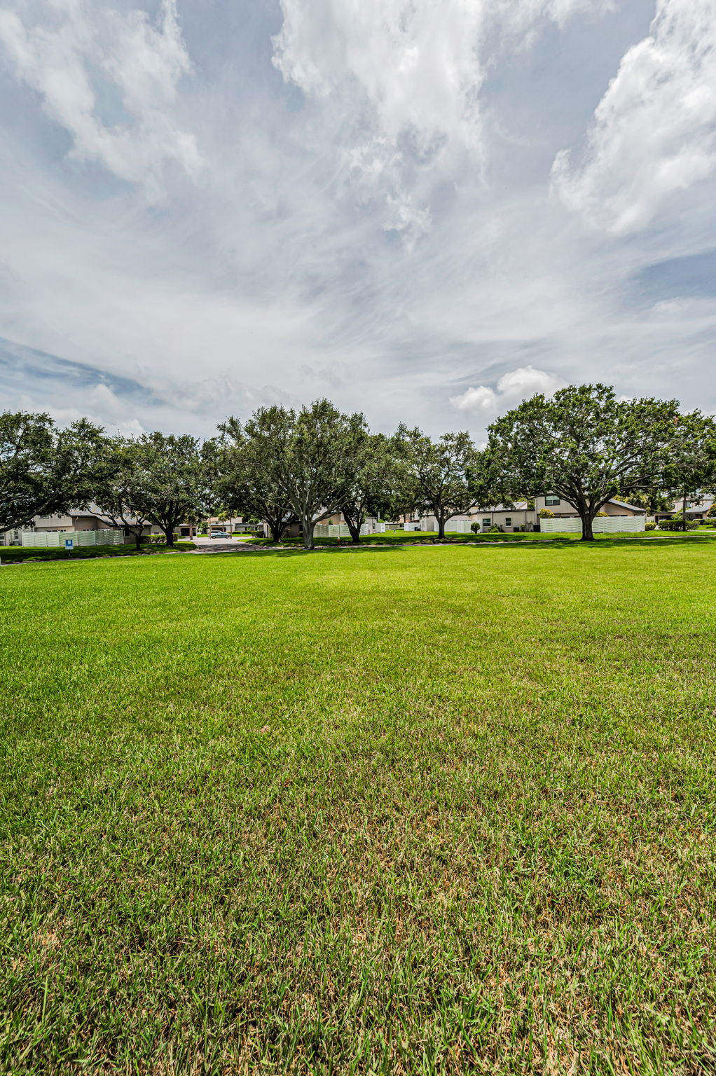 Backyard2
