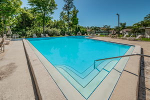 Community Pool4