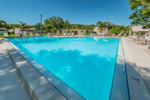 Community Pool6