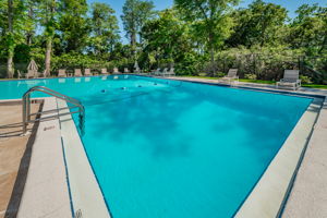 Community Pool8