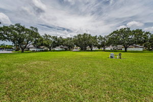 Backyard1