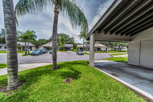 Frontyard