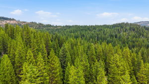  Photo 50