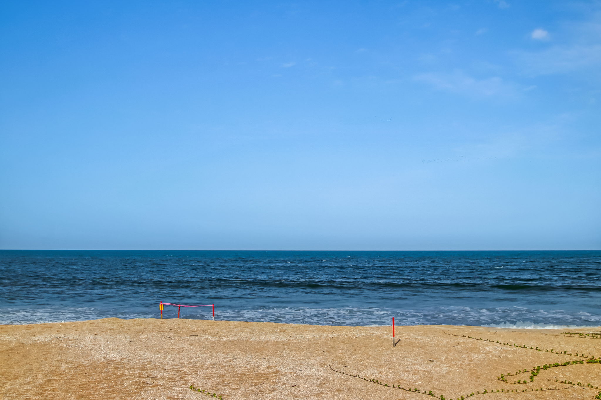 Ocean View