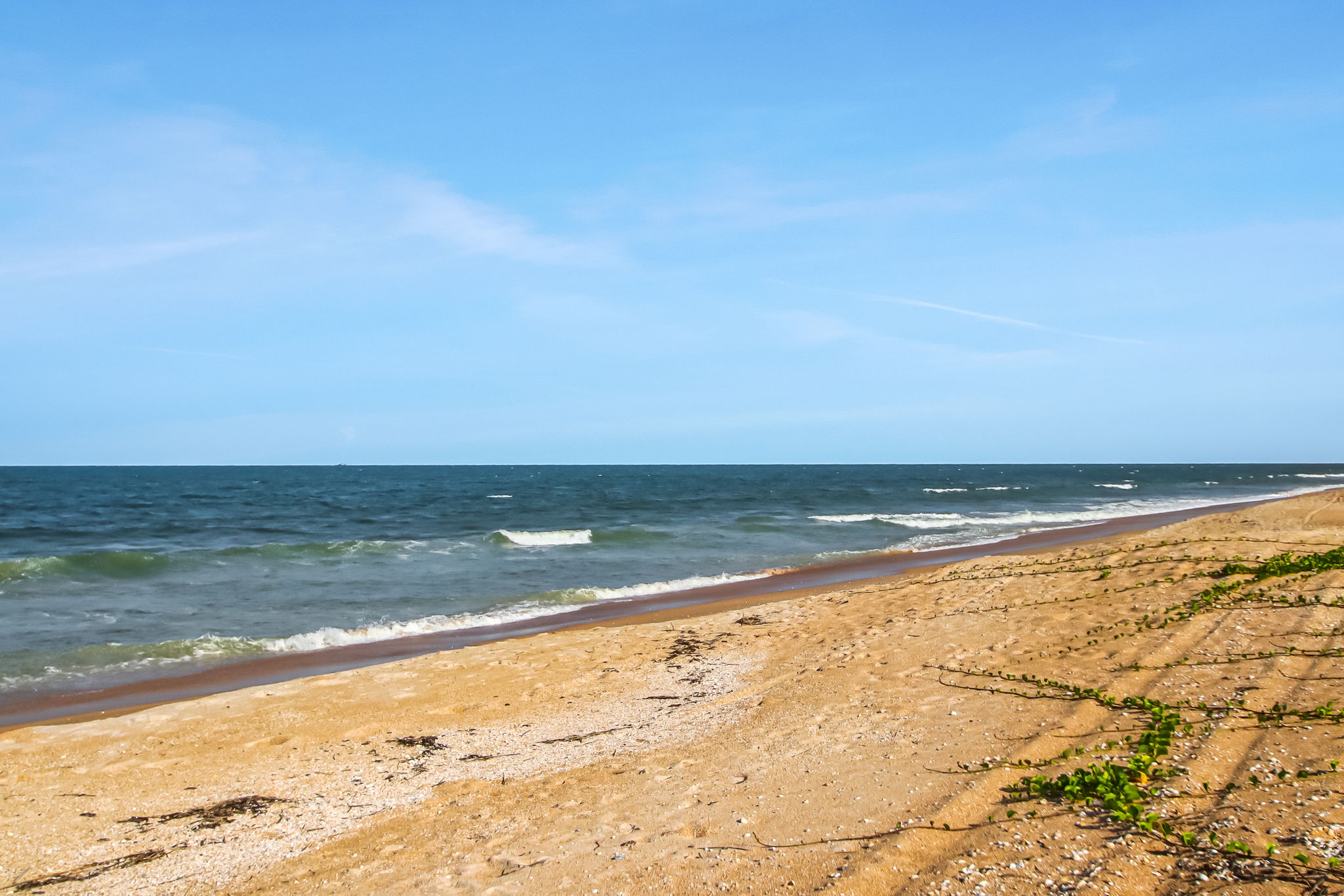 Ocean View