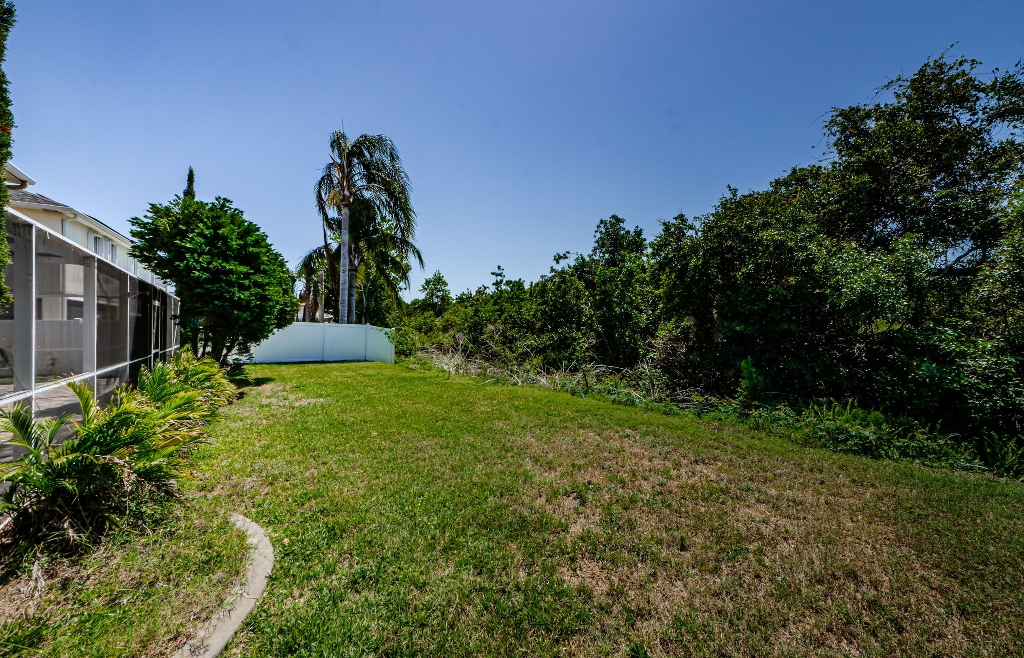 Backyard 1-2