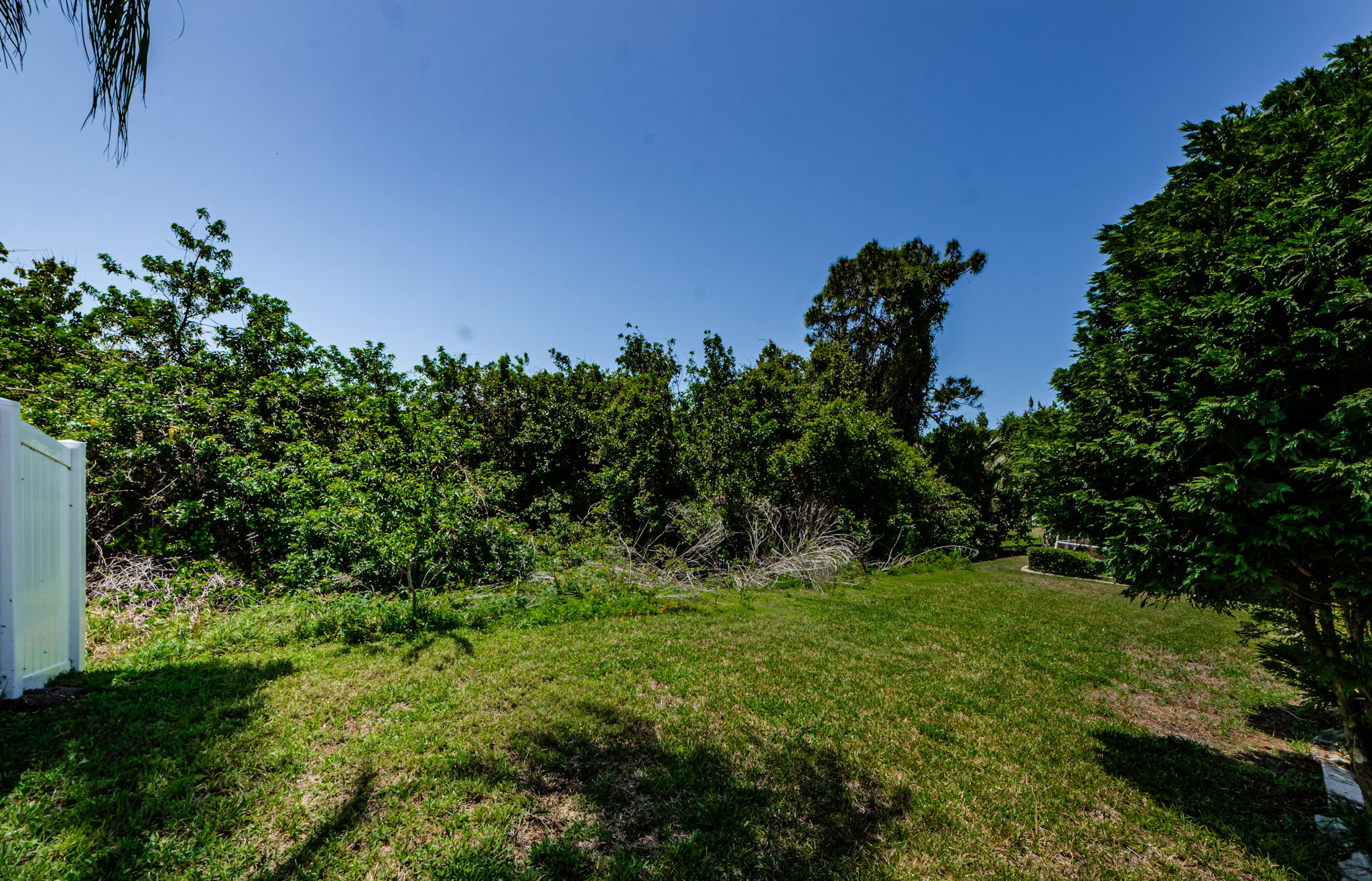 Backyard 4-2