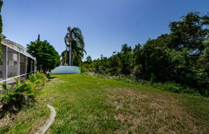 Backyard 1-2
