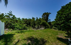 Backyard 4-2