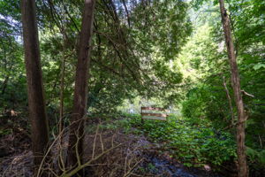  Photo 39