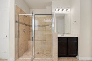 Primary suite- first floor Bathroom Shower/vanity
