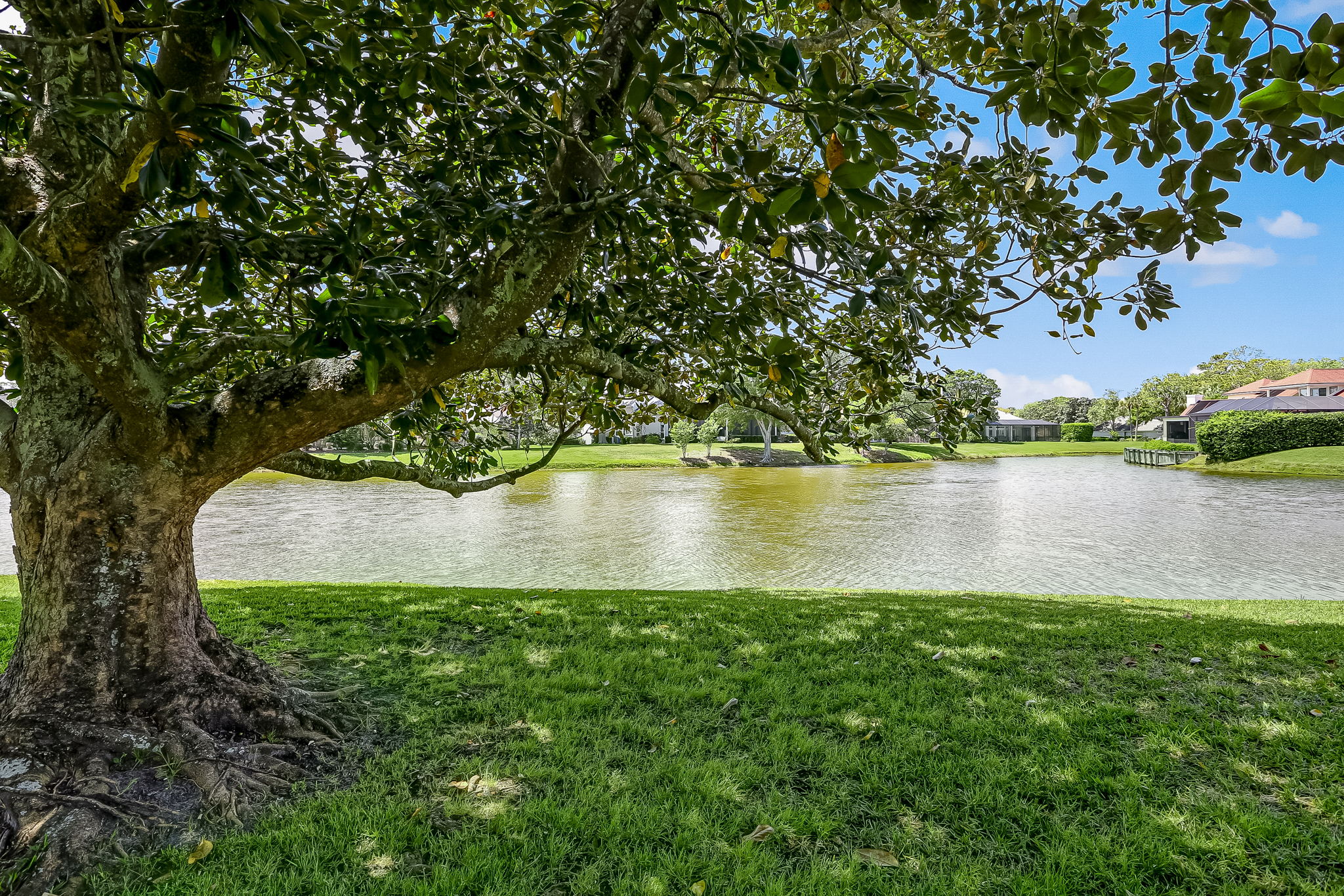 Lake View