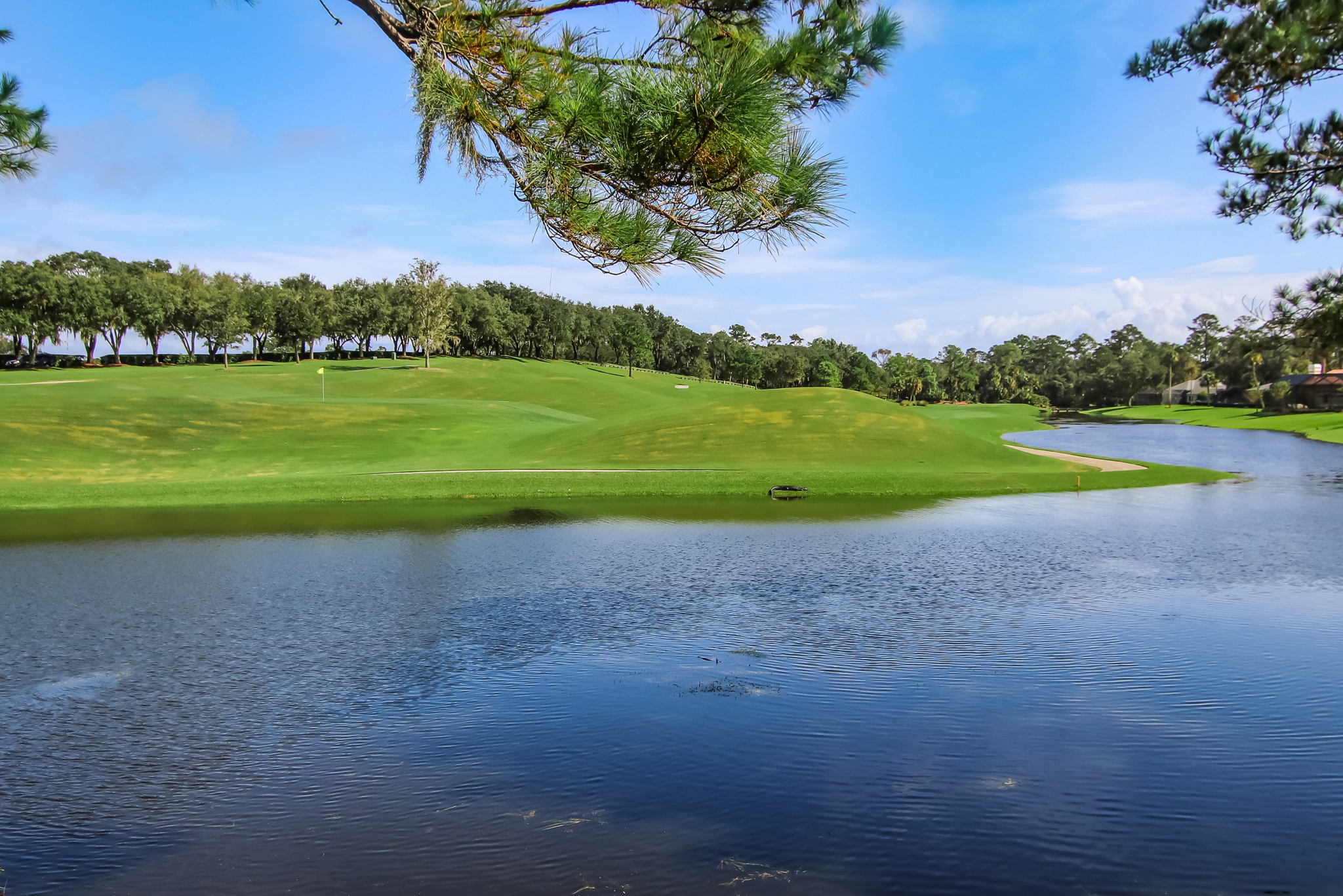 Sawgrass Country Club