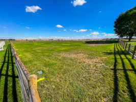 Back Pasture #2 Spring/ Summer