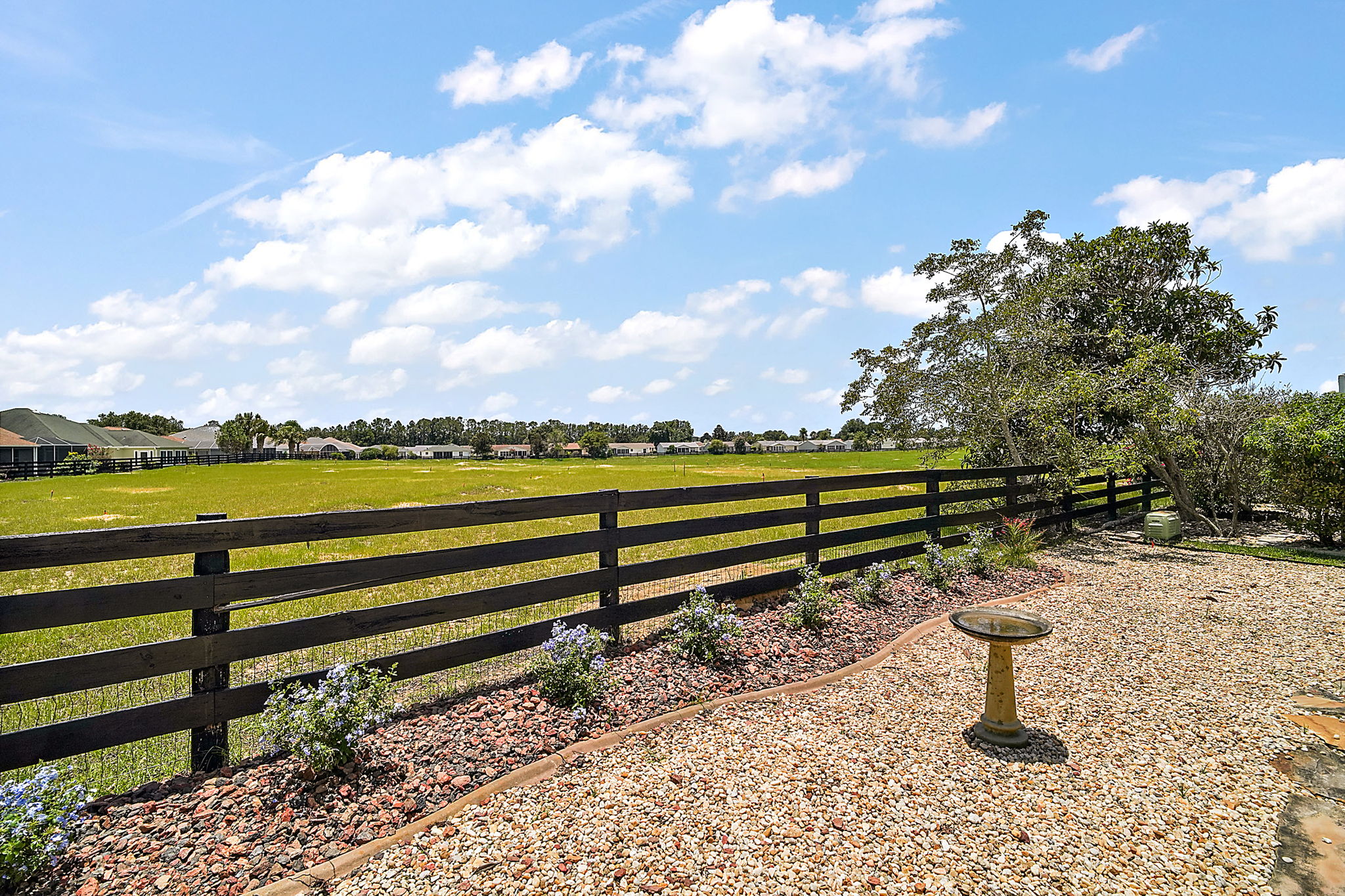 Rear Yard with Preserve Views