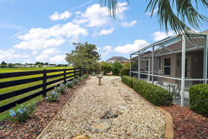 Rear Yard with Preserve Views