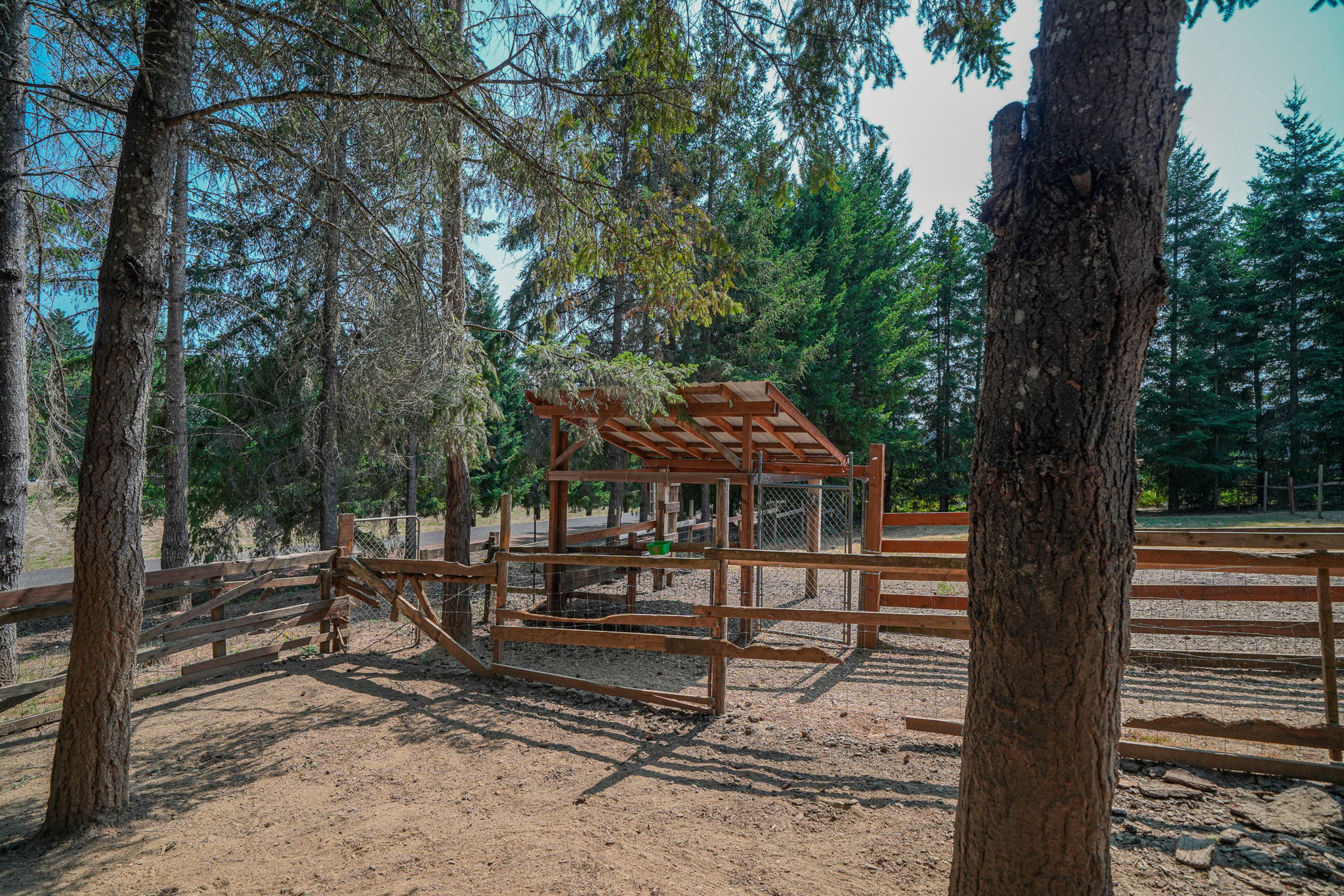  Photo 21