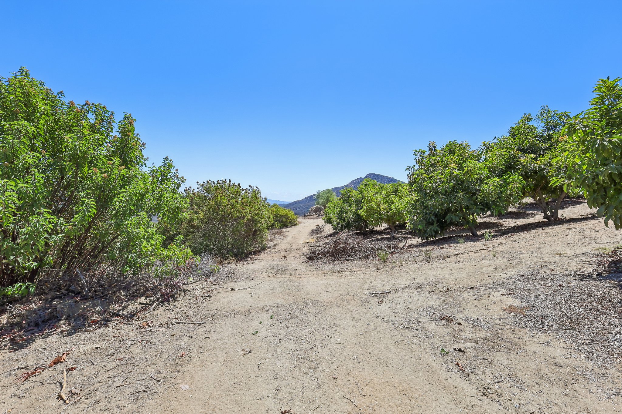 Engelmann Rd-S1508-078.jpg