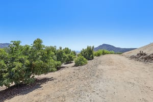 Engelmann Rd-S1508-076.jpg