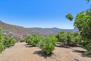 Engelmann Rd-S1508-077.jpg