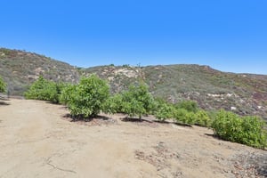 Engelmann Rd-S1508-079.jpg
