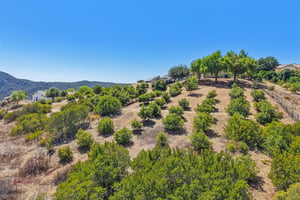 Engelmann Rd-S1508-094.jpg