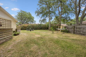 Back Yard