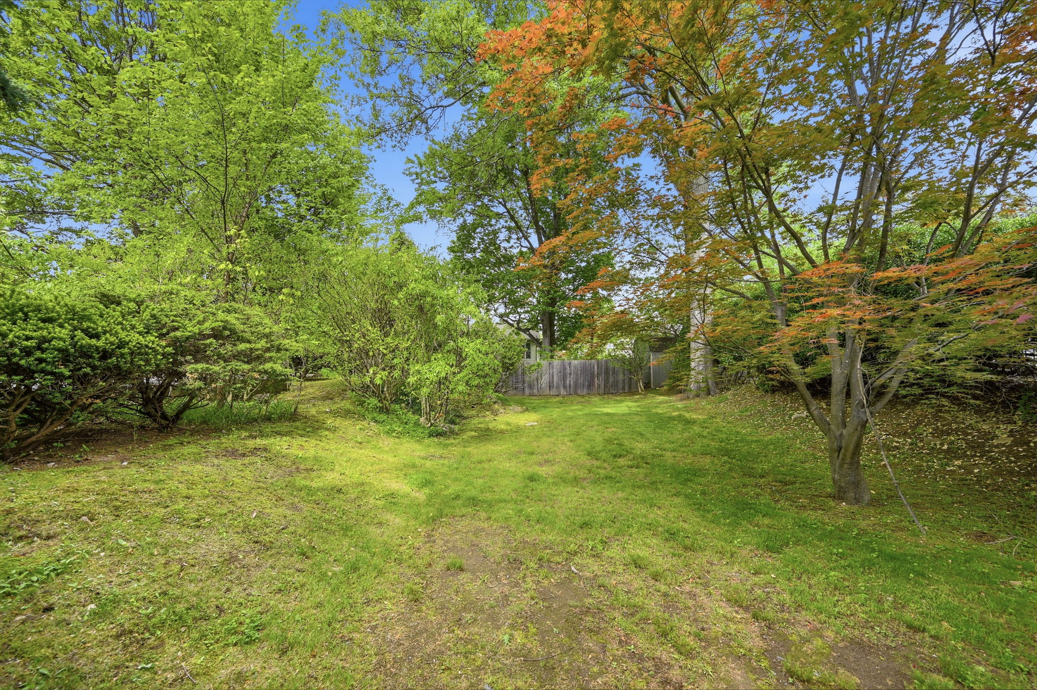  Photo 47