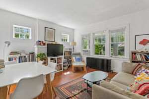 Apt 1 living room