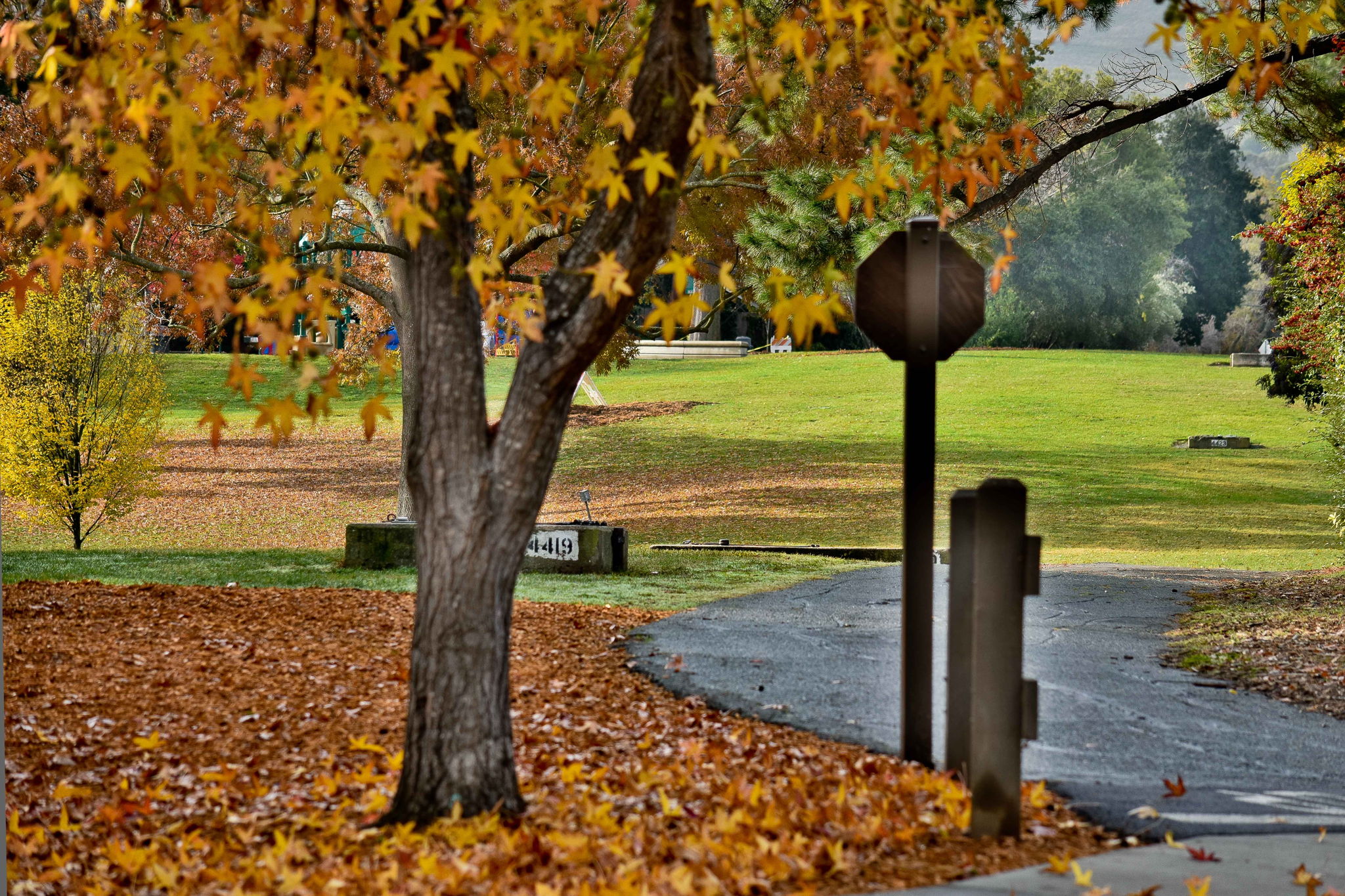 Pathways for Exercise & Relaxation