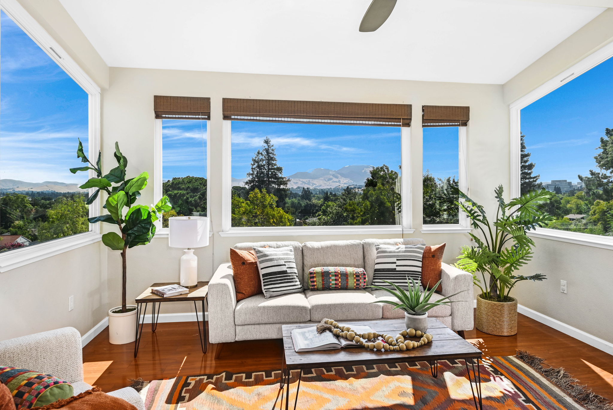 Skybox View to Mt. Diablo