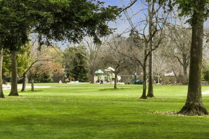 Picnic and Play Areas