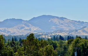 VIEWS   VIEWS  VIEWS  VIEWS  VIEWS  VIEWS