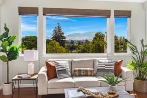 Morning, Noon, Night...Extraordinary