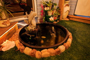  Photo 44