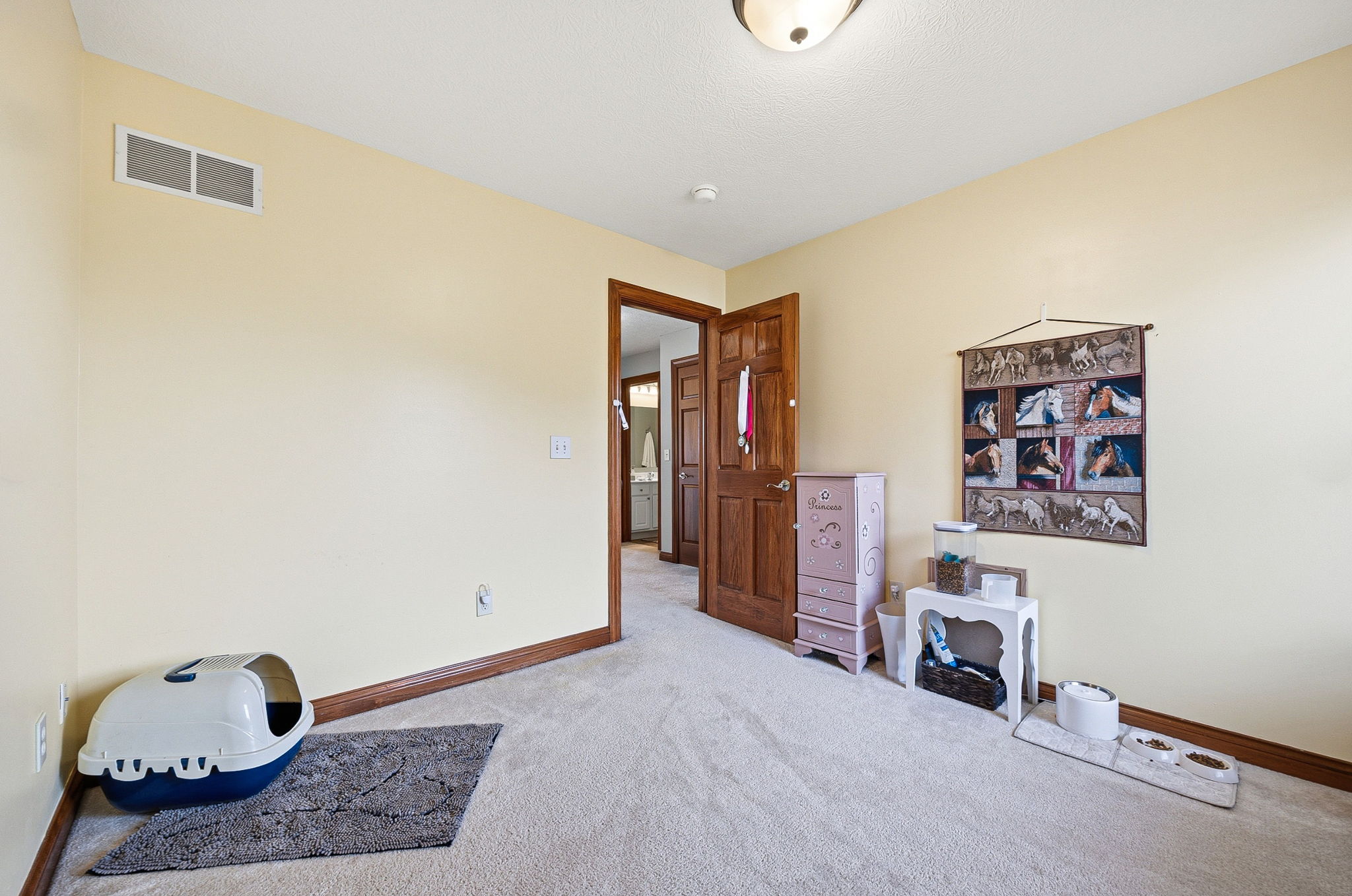 D.C. - 2643 Sandhurst Dr, Lewis Center-45