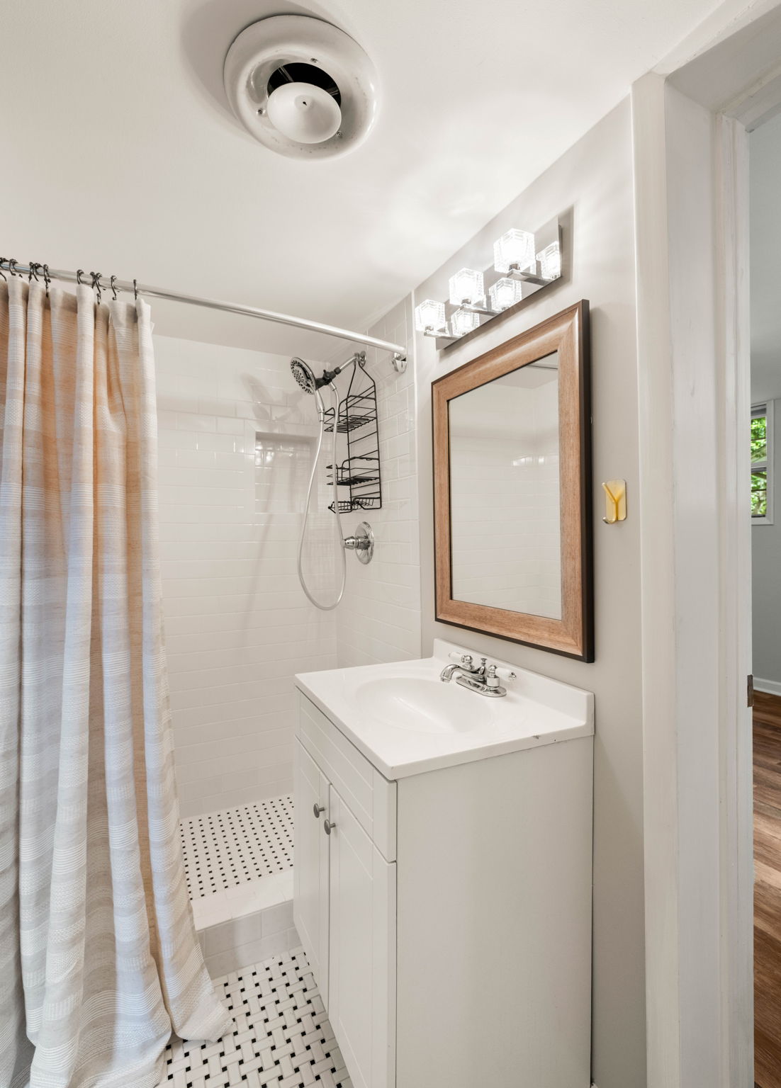 Bathroom (Lower Level)