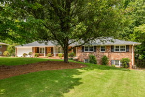 Front Yard