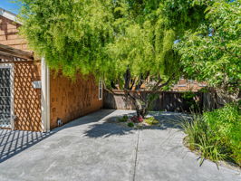 Beautiful low maintenance landscaping