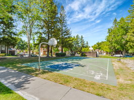 Basketball Courts just down the street