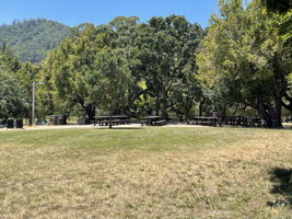 Large picnic table area
