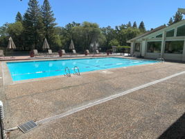 Pool #1