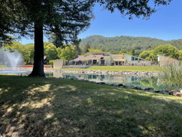 Lagoon view looking towards clubhouse and pool complex