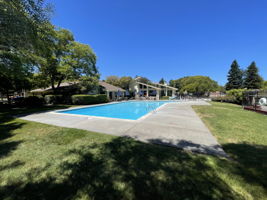 Pool #2